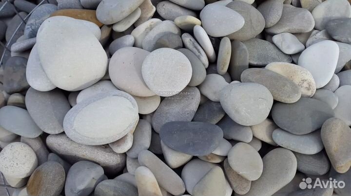 Камни плоские с моря