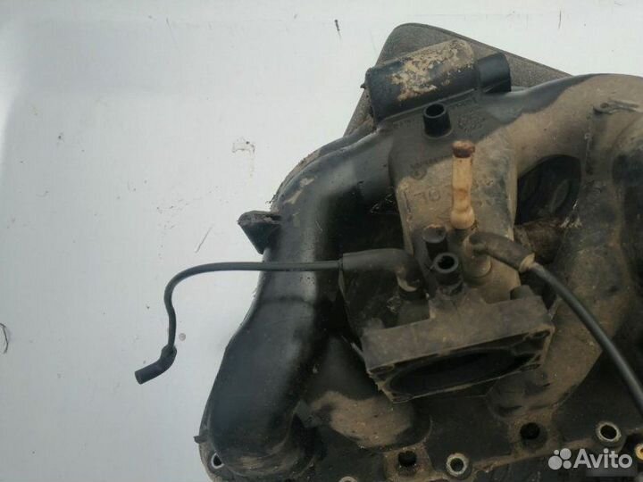 Впускной коллектор Ford Focus eydc