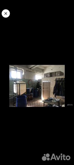 Пивоварня в аренду