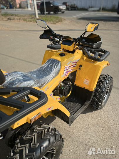 Avantis BIG hunter 200 premium в рассрочку