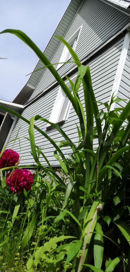 Дом 53,8 м² на участке 30 сот.