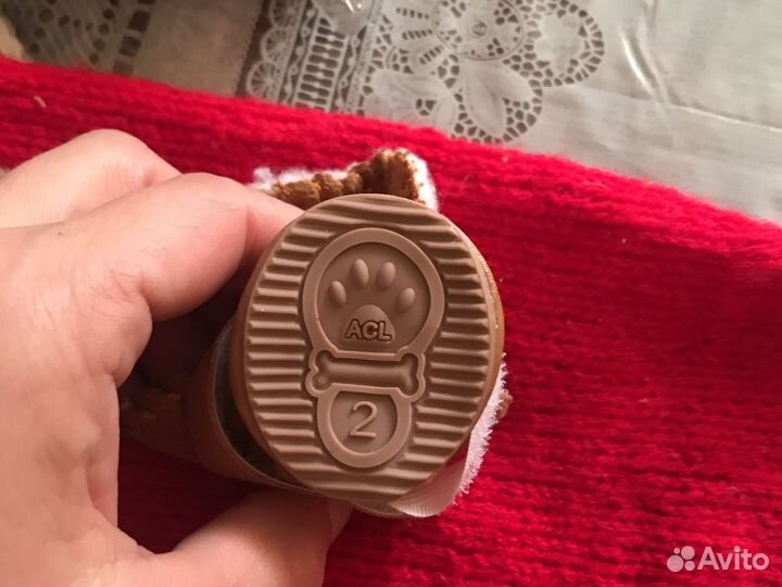 Кофточка и ботиночки для маленькой собачки