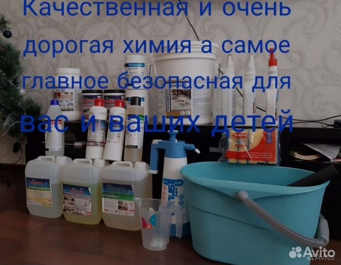 Прокат аренда моющего пылесоса