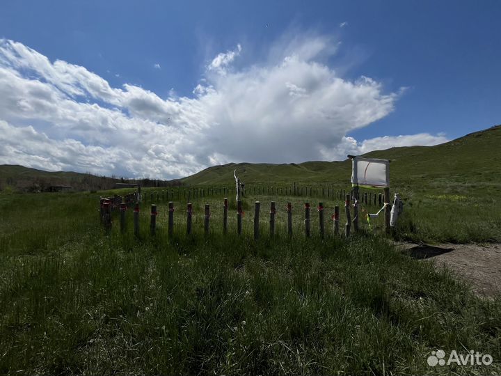 Тур на места Силы. Измени жизнь за одну поездку
