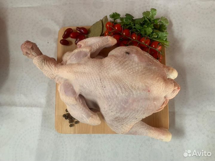 Домашняя курочка эко -Ферма 