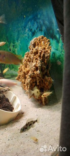 Декорация для аквариума, светильник