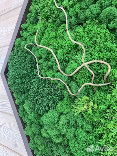 Панели из стабилизированного мха