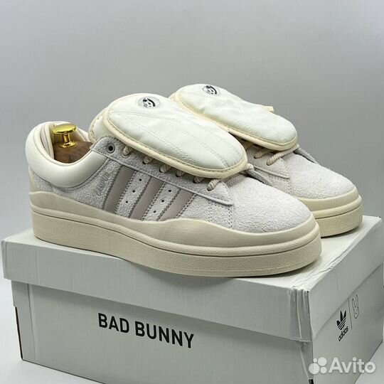 Adidas campus bad bunny