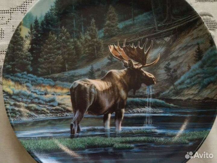 Декоративная тарелка Дикий и Свободный