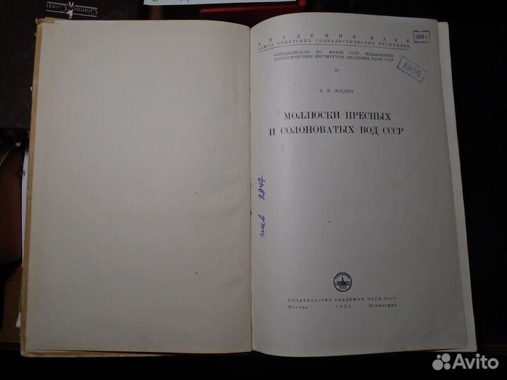 Жадин Моллюски пресных и солоноватых вод СССР 1952