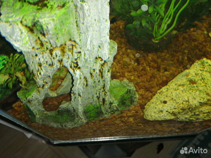 Грунт для аквариума