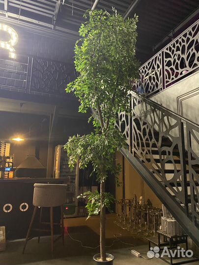 Искусственный фикус