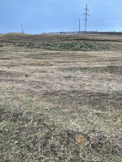 Участок 20 сот. (ИЖС)