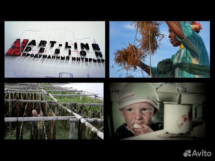 Режиссер документальных фильмов