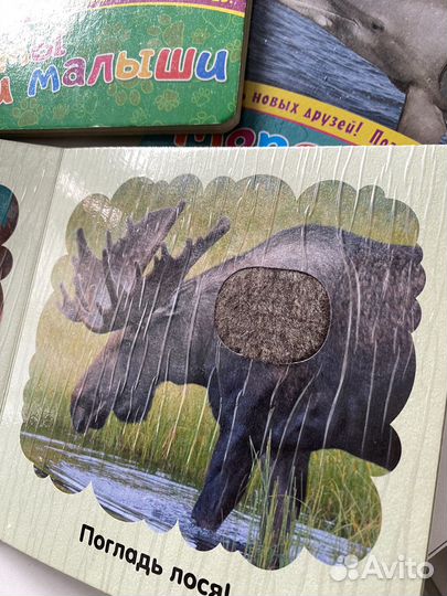 Книжки для малышей