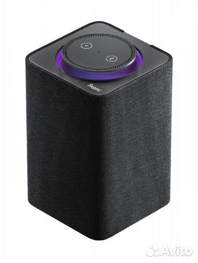 Яндекс станция, 1 поколения