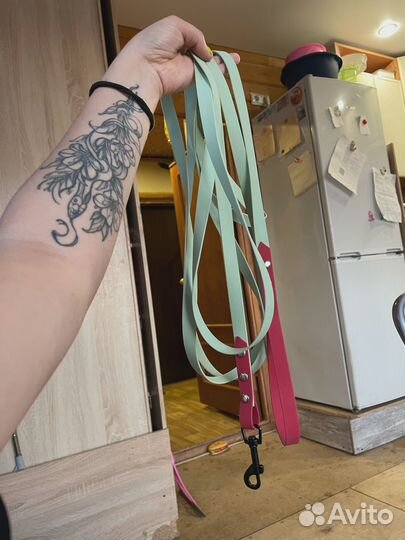 Амуниция для собак