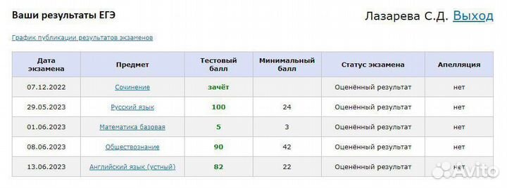 Репетитор по русскому языку огэ егэ