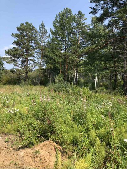 Участок 30 сот. (СНТ, ДНП)