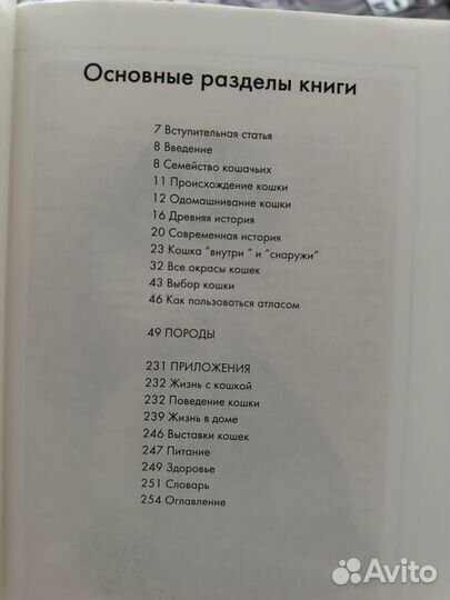 Книжка про кошек