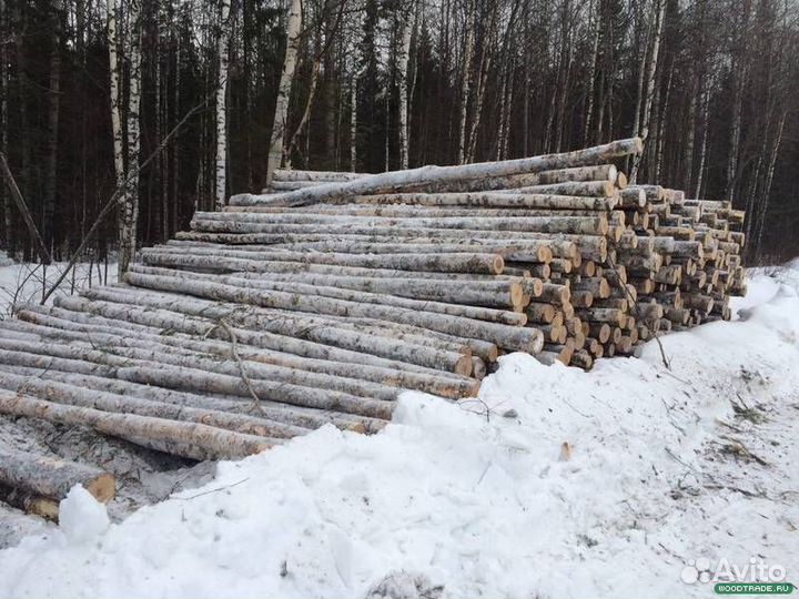 Дрова Берёза кругляк