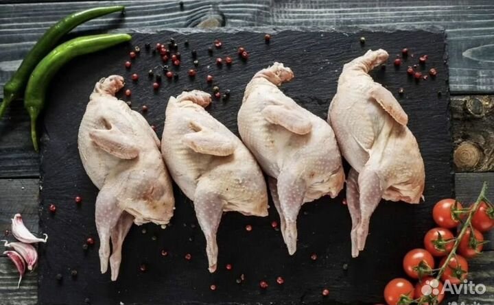 Мясо перепела