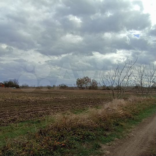 Участок 25 сот. (ИЖС)