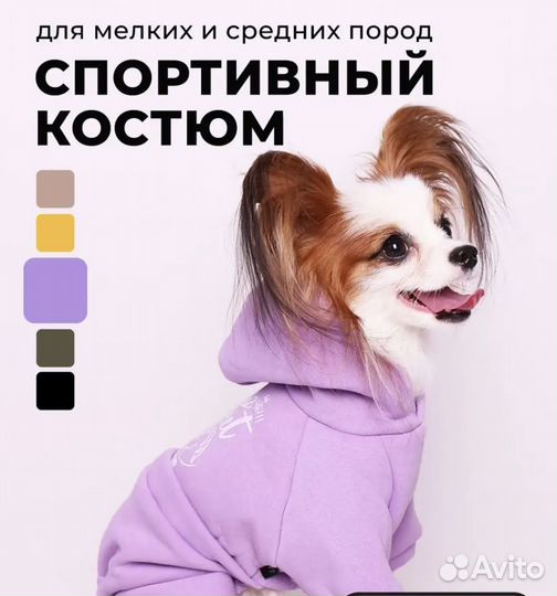 Спортивный костюм для собак