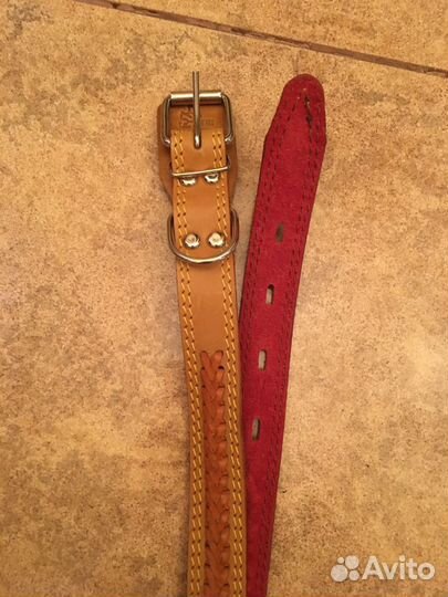 Ошейник поводок намордник собака