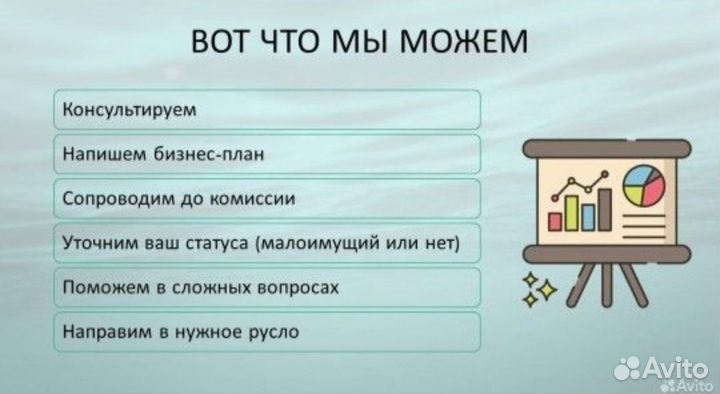 Бизнес план для соцконтракта