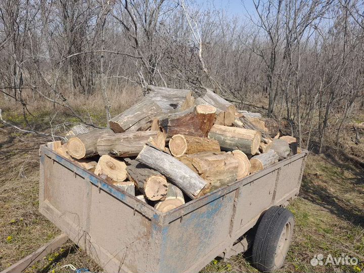 Продам дрова