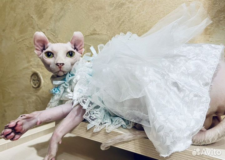 Девочка носитель гетерохромии