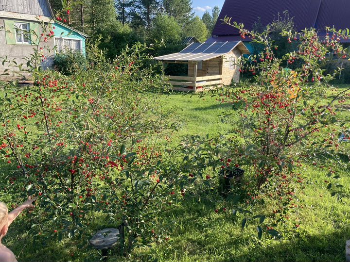 Дача 40 м² на участке 8,1 сот.