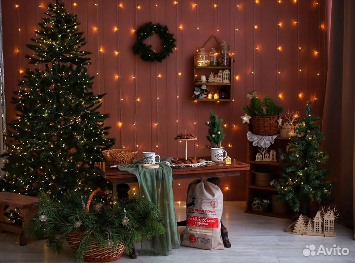 Фотосессия все включено