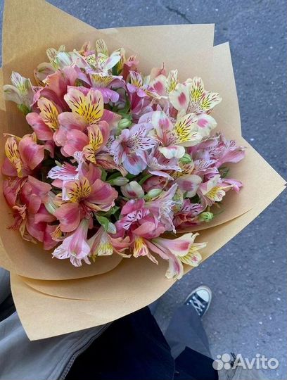 Цветы альстромерии букет