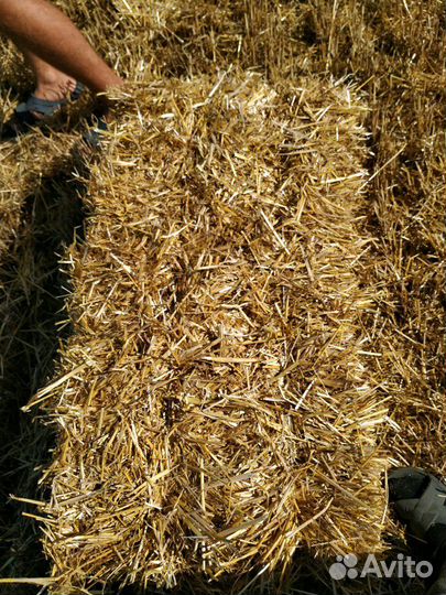 Сено в тюка разнотравье, люцерну