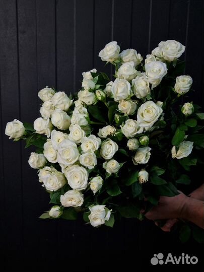 Кустовые розы оптом