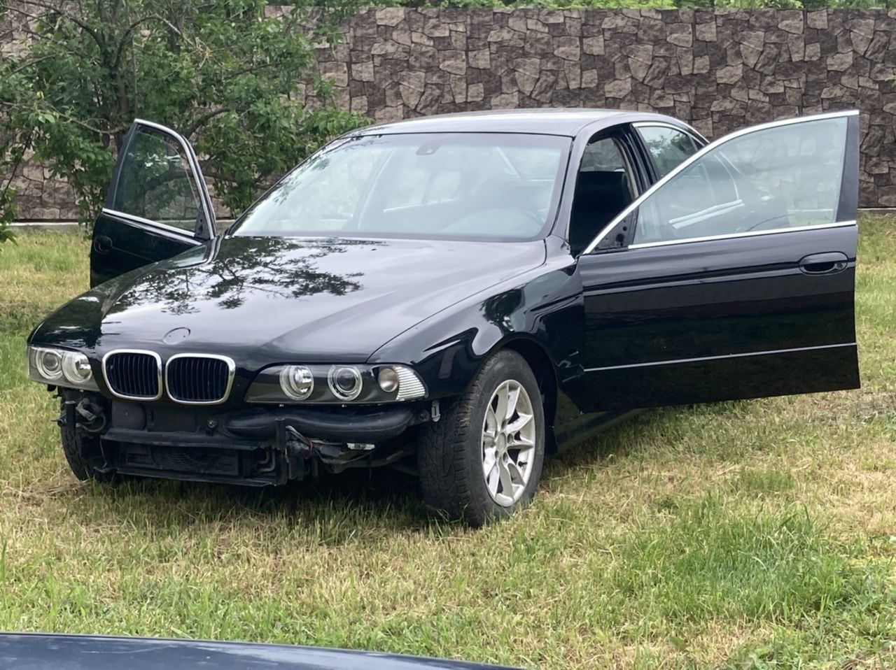 BMW 5 серия: фото владельца