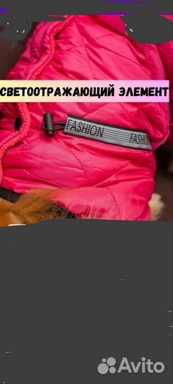 Комбинезон для мини собак