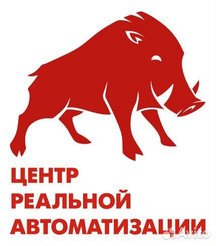 Программист 1С Батайск, обновление и услуги по 1С