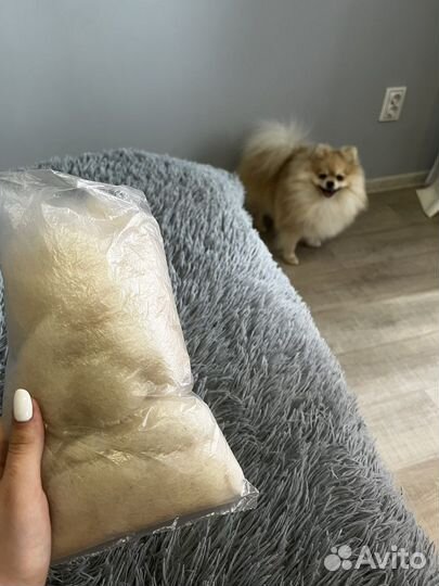 Собачья шерсть для прядения (шпиц)