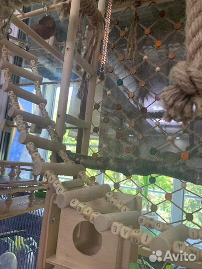 Стенд для попугая