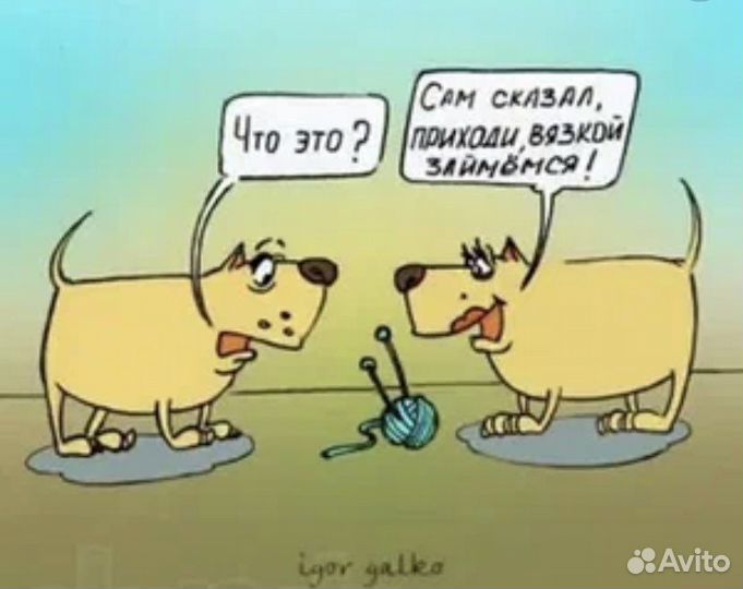 Инструктор по вязке собак