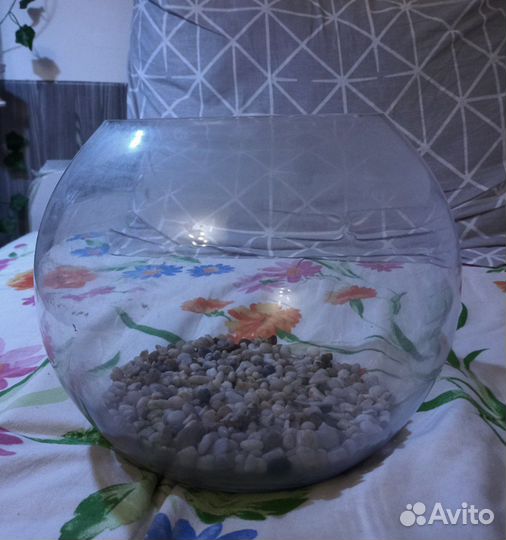 Аквариум круглый