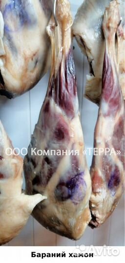 Вяленые гуси