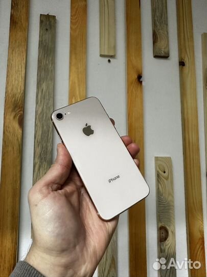 iPhone 8, 64 ГБ