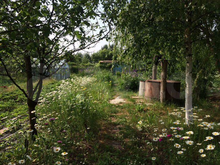 Участок 6,2 сот. (СНТ, ДНП)