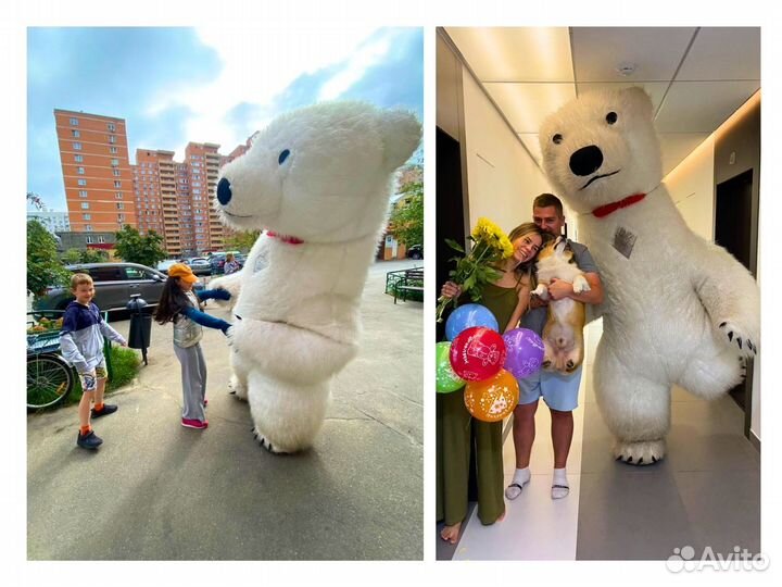 Поздравление от Белого мишки чебурашки панды