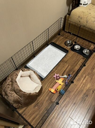 Вольер для щенков в квартиру