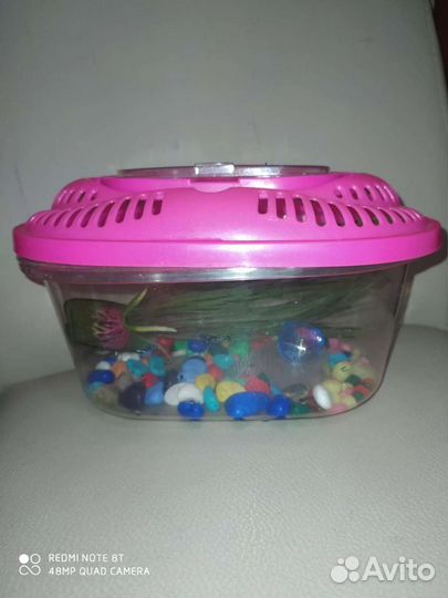 Аквариум небольшой для черепашек